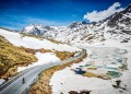 Gavia02.jpg