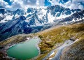 Gavia.jpg